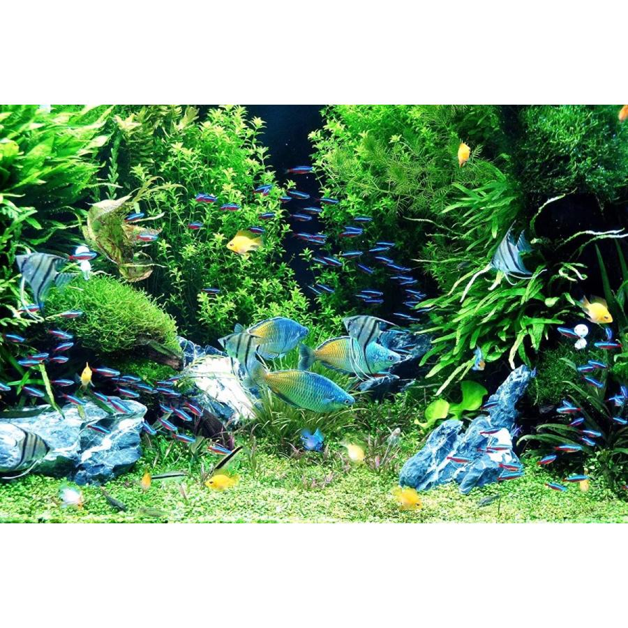 水草 人工 5本セット メダカ ベタ 金魚 テトラ 熱帯魚 アクアリウム 水槽 水草b Jpストア 通販 Yahoo ショッピング