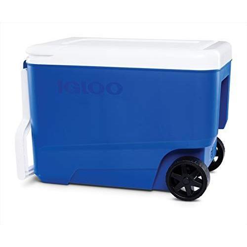 超特価激安 Igloo イグルー ウィリークール 38 36l ブルー 344 幅58 奥行33 高さ40cm Jpストア 通販 Yahoo ショッピング 正規激安 Blog Lonolife Com