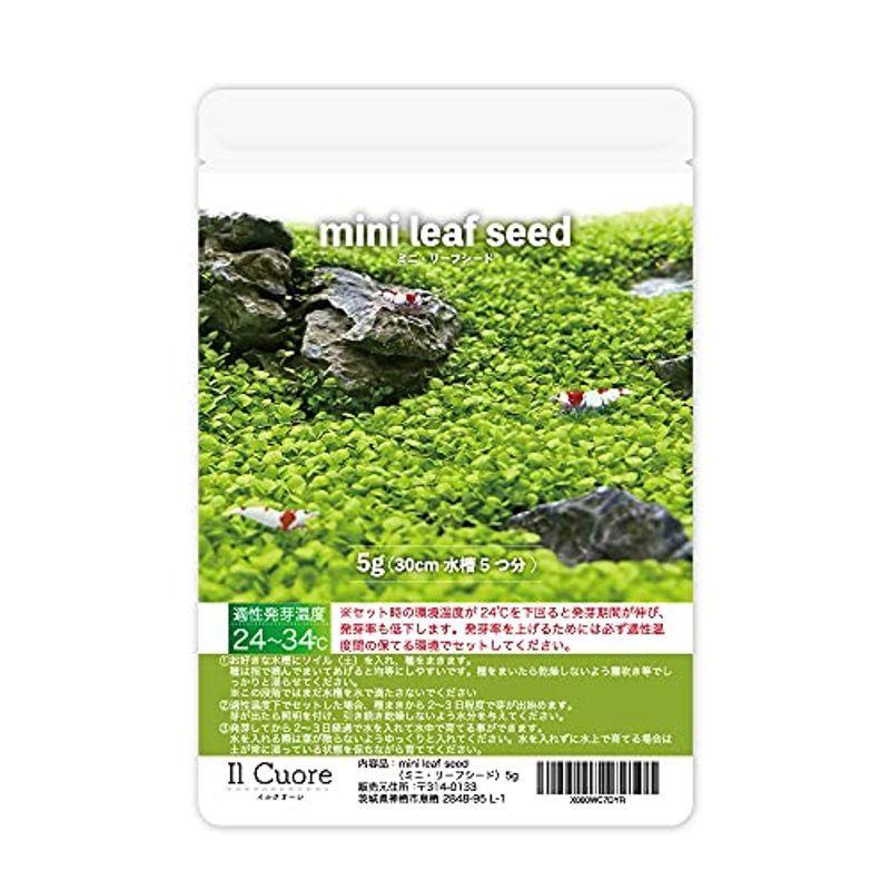 水草の種 Mini Leaf Seed ミニリーフシード 5g アクアリウム 水草絨毯 熱帯魚 Majesticxpress Com