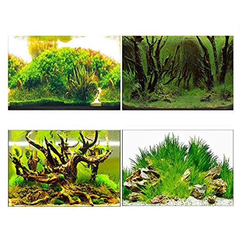 Piense アクアリウム 水槽 魚タンク バックスクリーン 背景 水族館 水中 ポスター 装飾 外観 バックグラウンド E