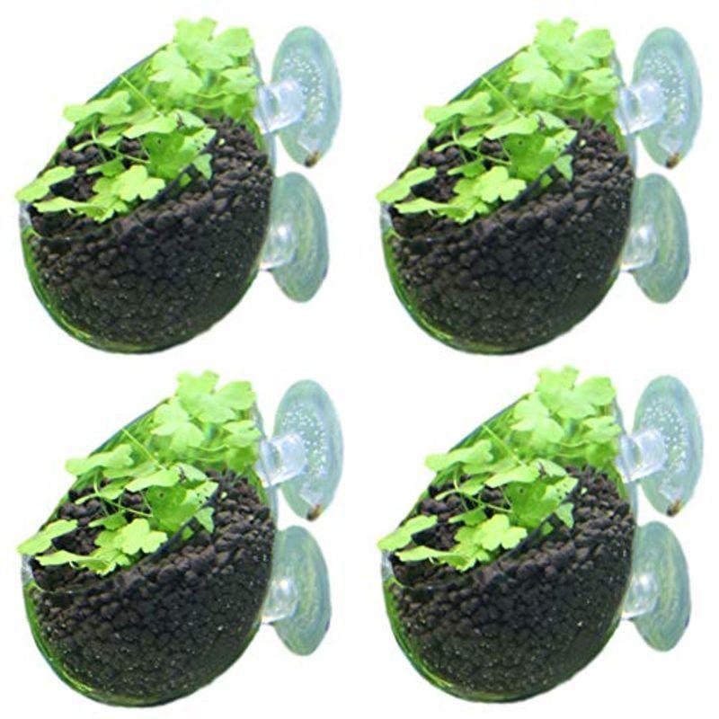 Az Dorado アクアリウム 内装 水槽 水草 ポット オーナメント エビ 隠れ家 隠れ場所 4コセット Majesticxpress Com