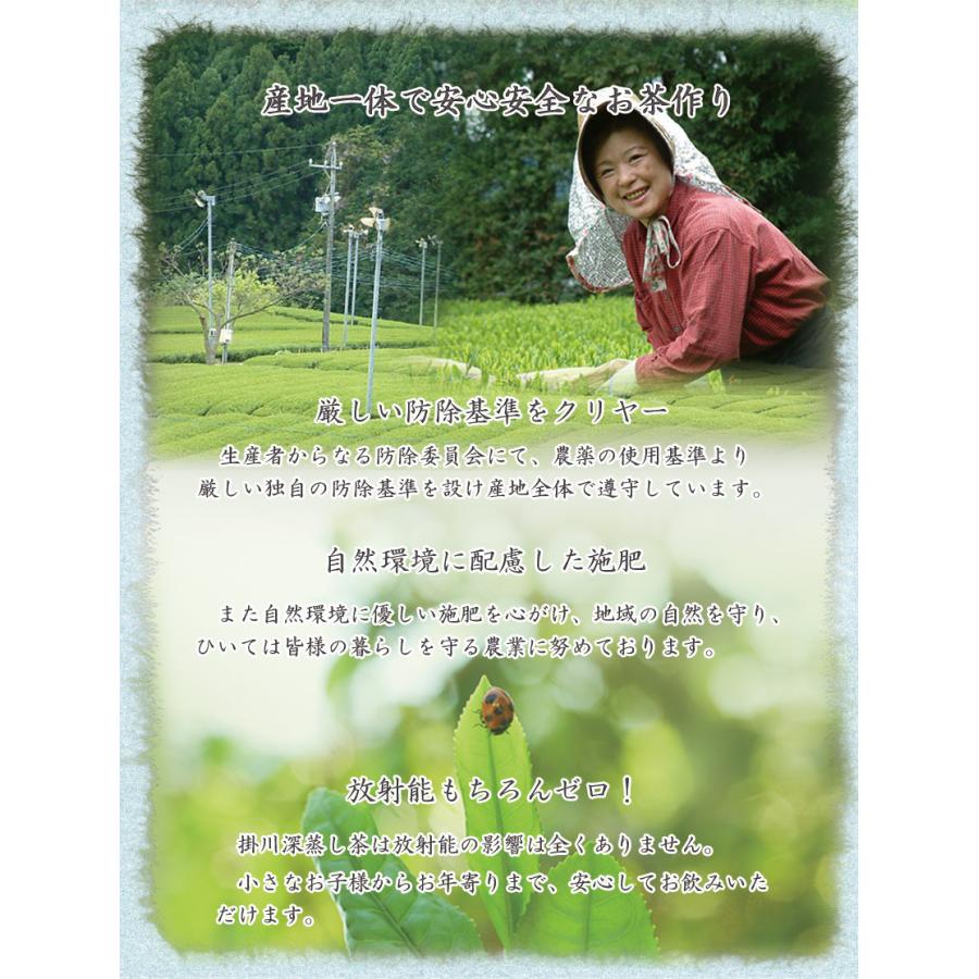 お中元 帰省土産 お茶 ギフト 茶和家 受賞掛川茶 150gx3種 送料無料 初摘み茶 150g 特上八十八夜茶150g 八十八夜茶 150ｇ 150x3 茶和家 木村園 Yahoo 店 通販 Yahoo ショッピング