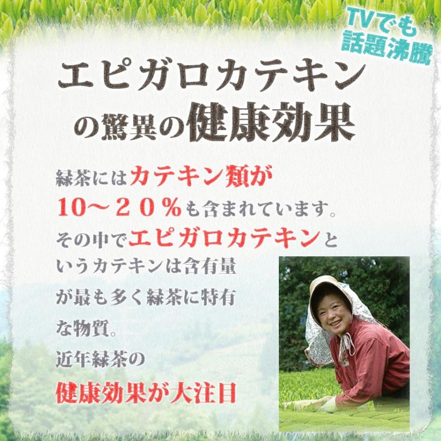 お茶 緑茶 静岡茶 日本茶 水出し緑茶ティーバック 6g×20個入 ティー