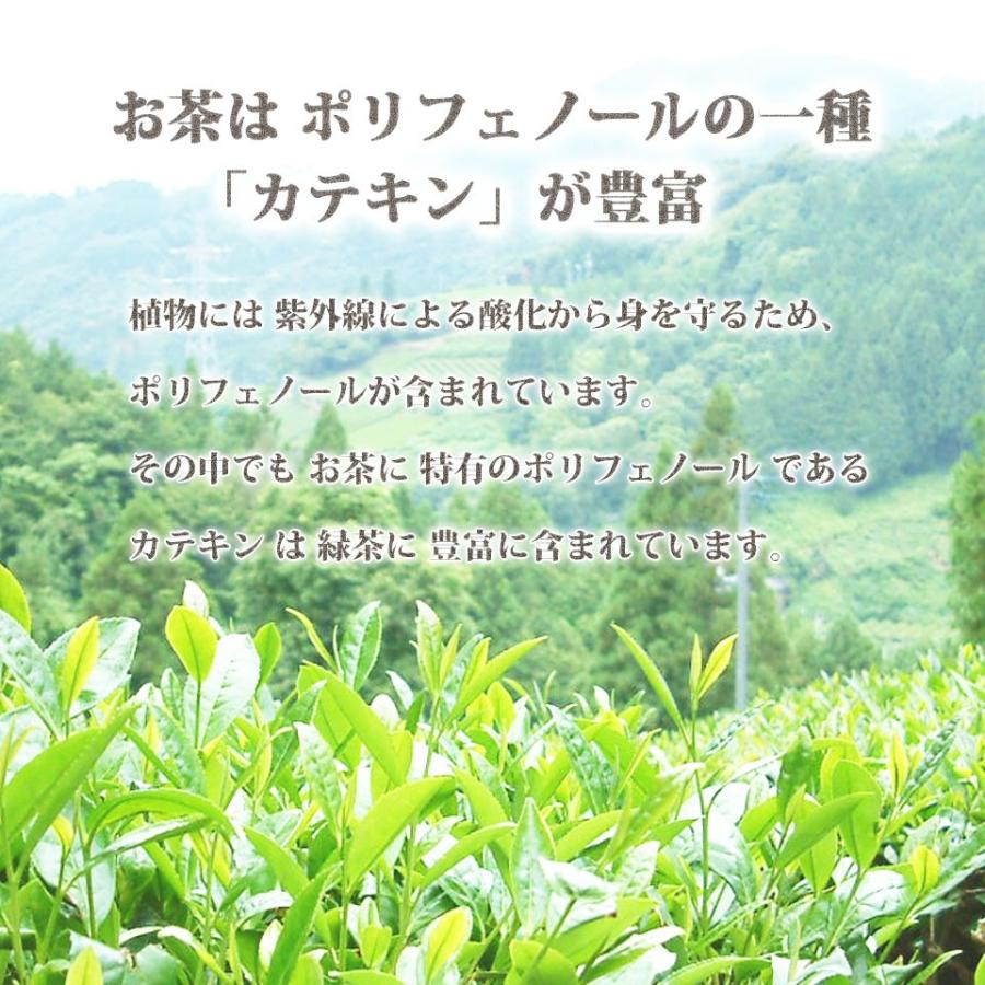 お茶 緑茶 静岡茶 日本茶 水出し緑茶ティーバック 6g×20個入 ティー