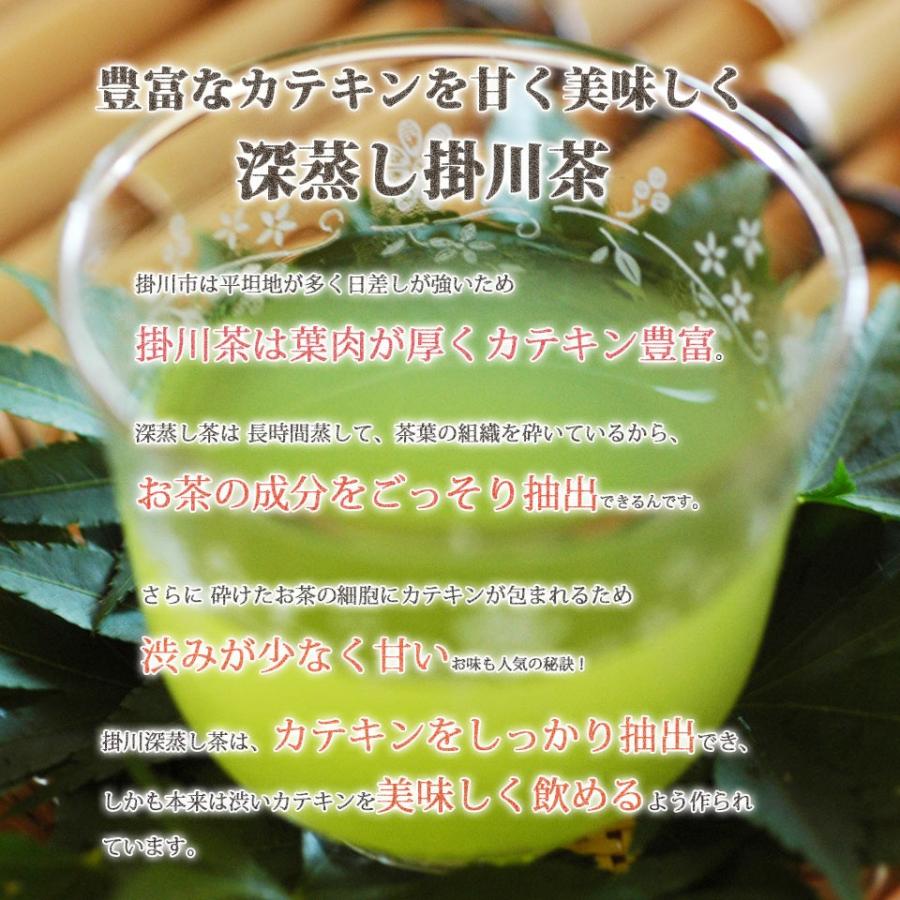 お茶 緑茶 静岡茶 日本茶 水出し緑茶ティーバック 6g×20個入 ティー