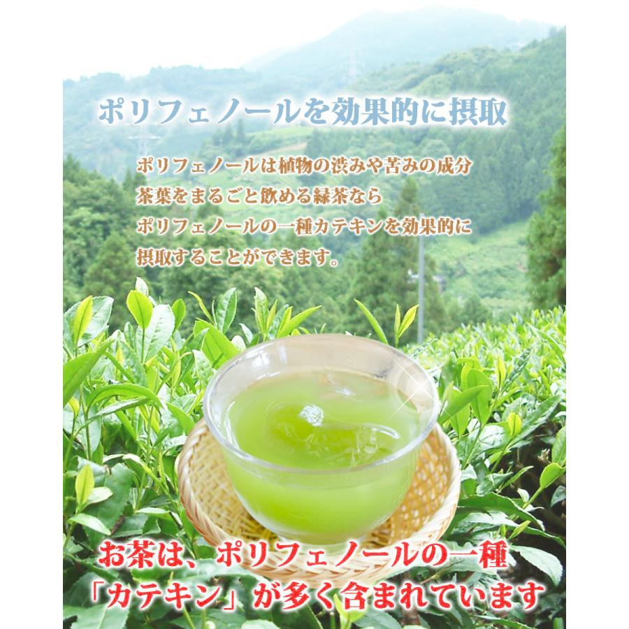 JA掛川市 かけがわ茶（深蒸し茶）アルミ缶 490g x 24本入 : お茶旅