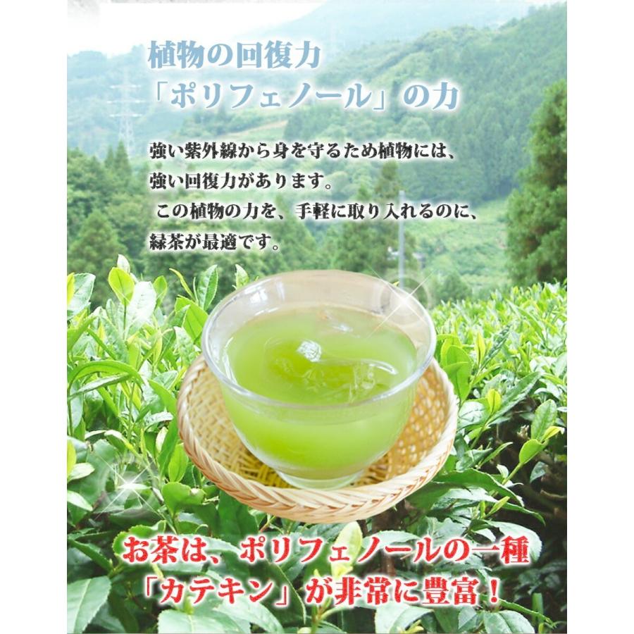 お茶 緑茶 日本茶 深蒸し茶 煎茶 掛川茶 徳用 業務用 お得 茶和家 毎日飲むお茶 500g x 4個 送料無料（関東⇔関西)｜jpanese-tea｜03