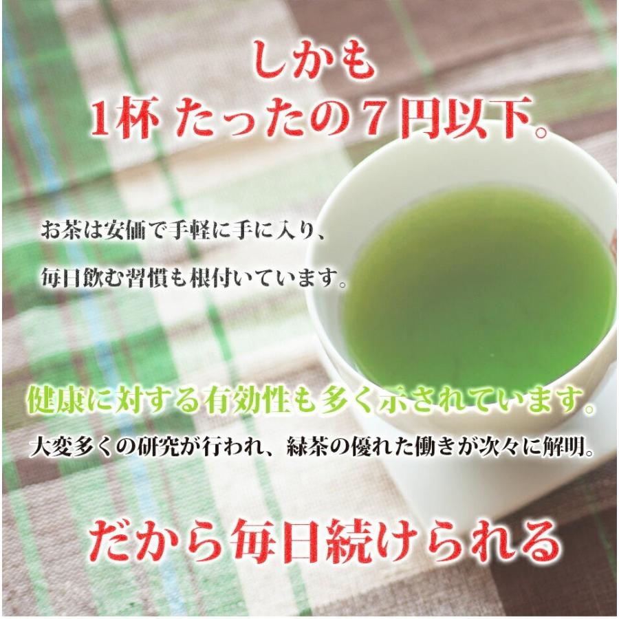 お茶 緑茶 日本茶 深蒸し茶 煎茶 掛川茶 徳用 業務用 お得 茶和家 毎日飲むお茶 500g x 4個 送料無料（関東⇔関西)｜jpanese-tea｜04