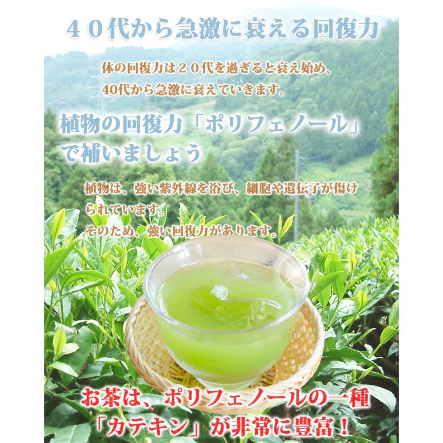 お茶 緑茶 静岡茶 日本茶 深蒸し茶 煎茶 掛川茶 粉末緑茶 メール便 送料無料 カテキンまるごと粉末緑茶 200g 静岡県掛川市産｜jpanese-tea｜06