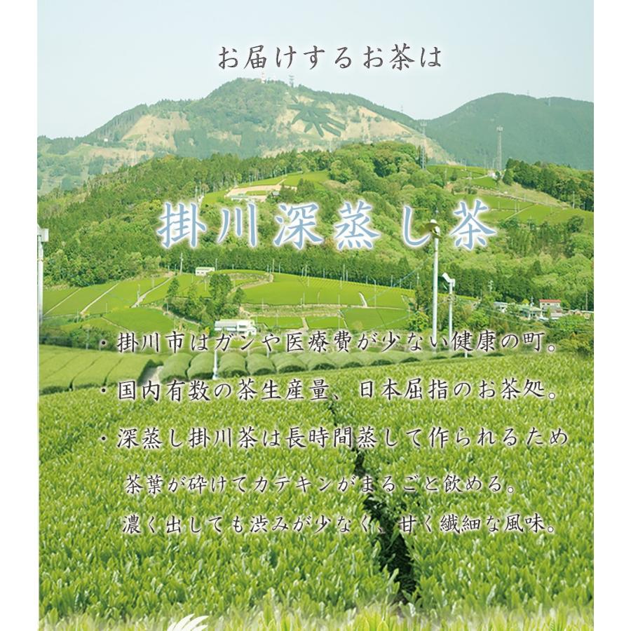 お茶 緑茶 静岡茶 日本茶 深蒸し茶 煎茶 掛川茶 粉末緑茶 メール便 送料無料 カテキンまるごと粉末緑茶 200g 静岡県掛川市産｜jpanese-tea｜08