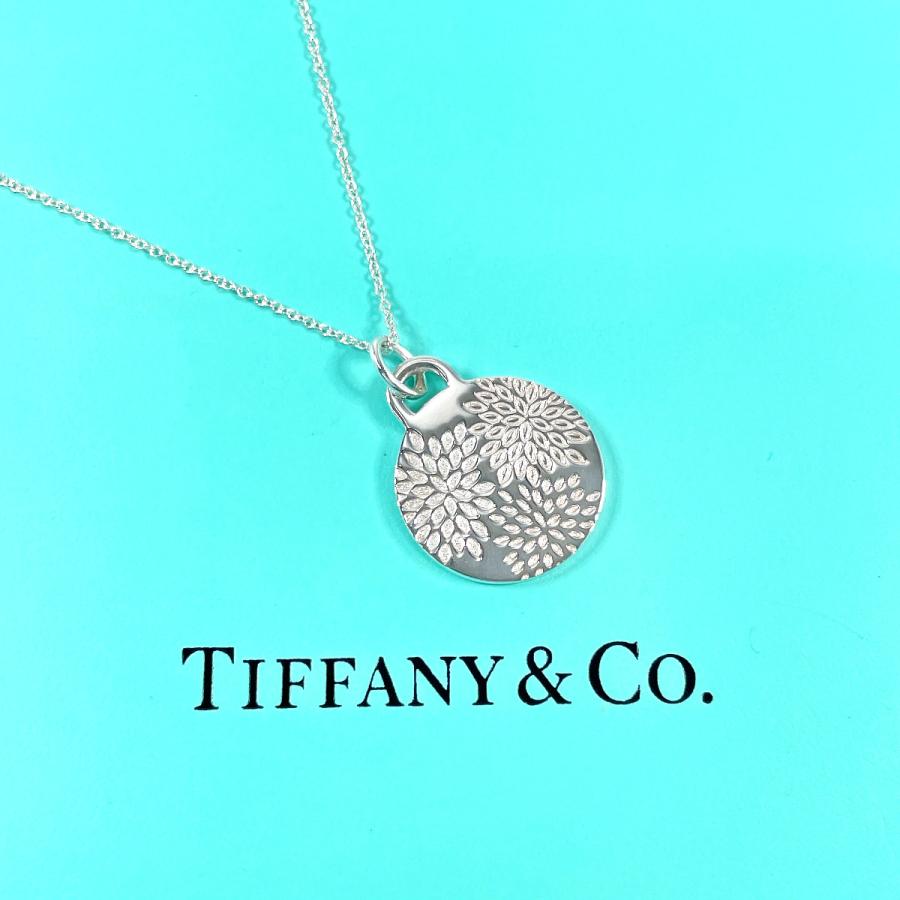 TIFFANY&Co.（ティファニー） ネックレス GO WOMEN 2018 シルバー925