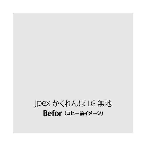 【両面コピー防止プリンタ用紙（A3/中厚口/500枚入）】地模様：無地　色：ライトグレイ｜jpex｜02