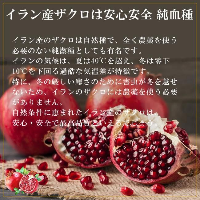 オメガｐｇｓオイル30ml ザクロオイル ザクロ種子油 オメガ5 プニカ酸 Pgsoil30 Kelena Yahoo Shopping店 通販 Yahoo ショッピング