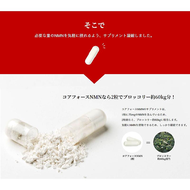 COREFORCE（コアフォース） NMN サプリメント 120粒入り NMN 