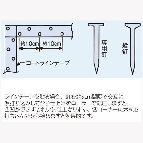 ルーセント グランド用釘 メッキー 60mm E04000 ＜2023NP＞｜jpn-sports｜03