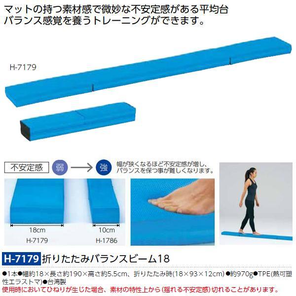 フィットネス トレーニング用品 TOEI(トーエイ)】 [送料別途