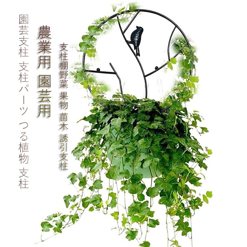 超人気高品質 園芸支柱 支柱パーツ つる植物 支柱 植物支柱 植物サポート 花ささえ つる性植物 部屋の装飾 Vanow 観葉支柱パックガー ガーデニング 園芸支柱 朝顔 支柱 支柱パーツ つる植物 支柱 植物支柱 植物サポート 花ささえ つる性植物 部屋の装飾 Vanow 観葉支柱パックガー ガーデニン