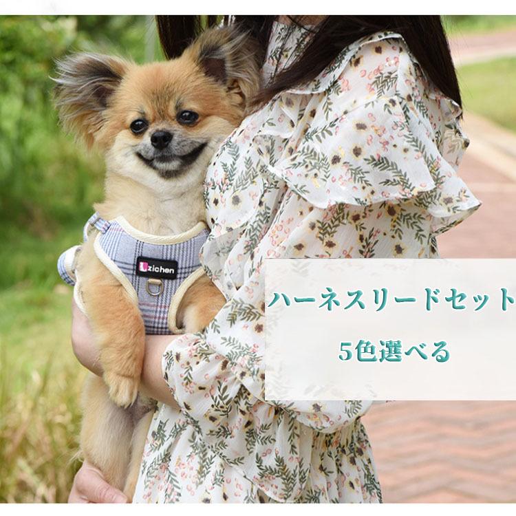 レビューを書いて送料無料 Circle Chocolate ペット用 犬用 リード 胴輪 ハーネス ２点セット 散歩 おしゃれ かっこいい 可愛い 猫用 5色柄展開 Cw016 ジェイピーエスエス 通販 Yahoo ショッピング