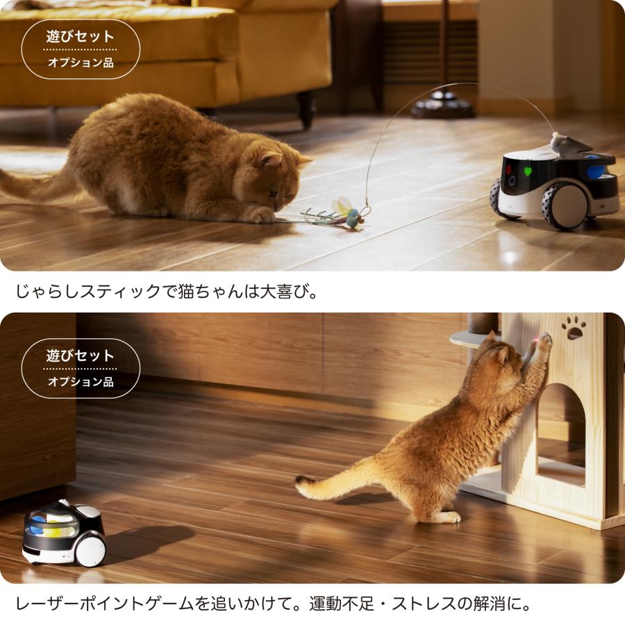 ペットカメラ 犬 猫 見守りカメラ ROLA PetPal iphone対応 ペット専用