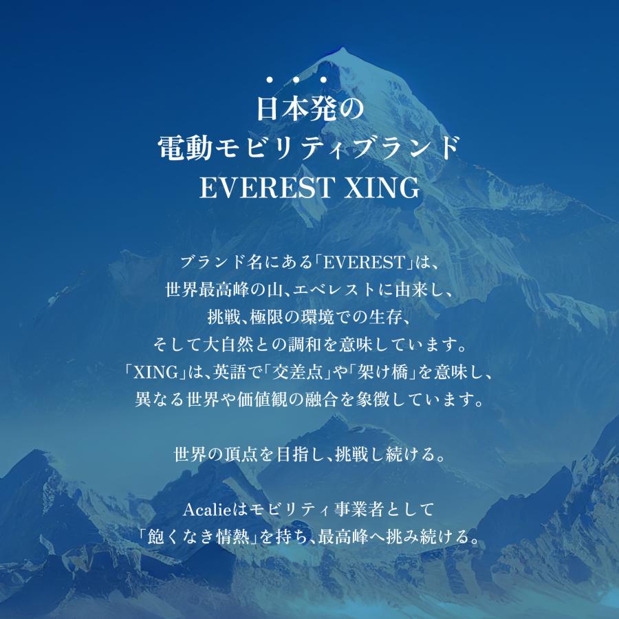 電動キックボード 特定小型原付 EVEREST XING EX15 600w 折りたたみ 免許不要 ノーパンクタイヤ 公道走行 20km以下 街中 街乗り プレゼント |  | 01