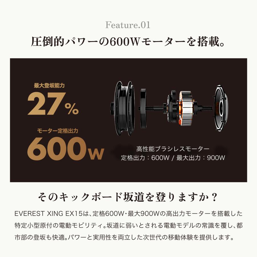電動キックボード 特定小型原付 EVEREST XING EX15 600w 折りたたみ 免許不要 ノーパンクタイヤ 公道走行 20km以下 街中 街乗り プレゼント |  | 11