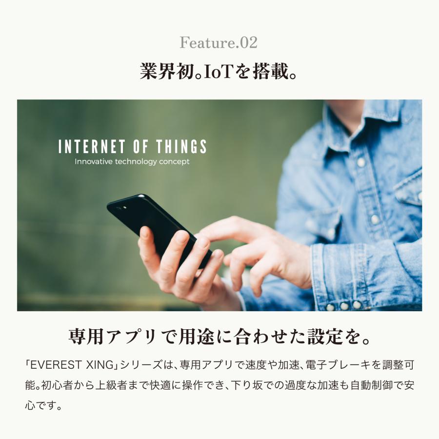 電動キックボード 特定小型原付 EVEREST XING EX15 600w 折りたたみ 免許不要 ノーパンクタイヤ 公道走行 20km以下 街中 街乗り プレゼント |  | 13