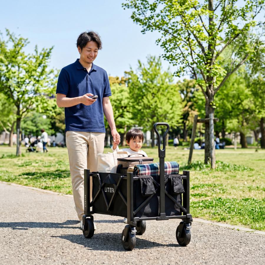 電動キャリーワゴン LITEFAR G2 リモコン式 ハンズフリー 自走式