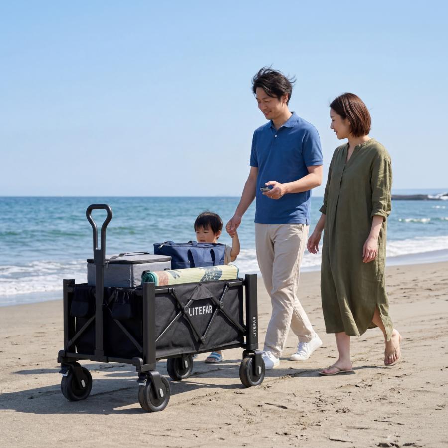 電動キャリーワゴン LITEFAR G2 リモコン式 ハンズフリー 自走式
