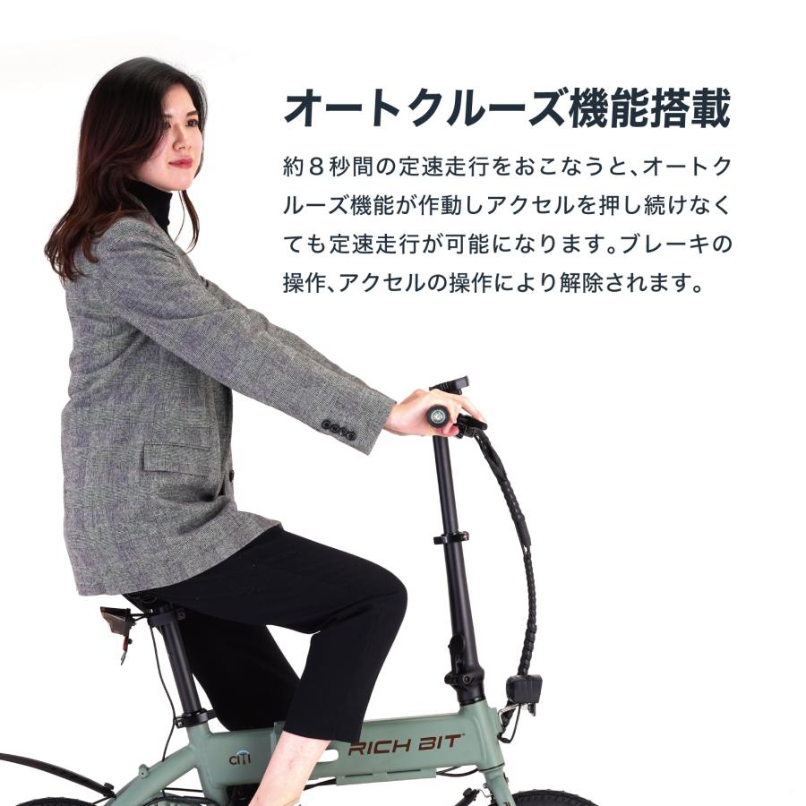 RICH BIT 電動バイク 特定小型原動機付自転車 免許不要 RICHBIT RICH BIT 電動バイク 特定小型原動機付自転車 免許不要 RICHBIT