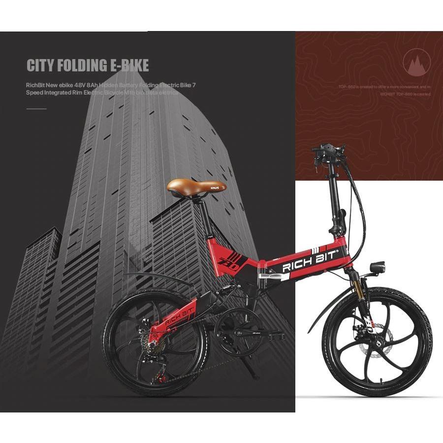 RICHBIT TOP730 電動アシスト自転車