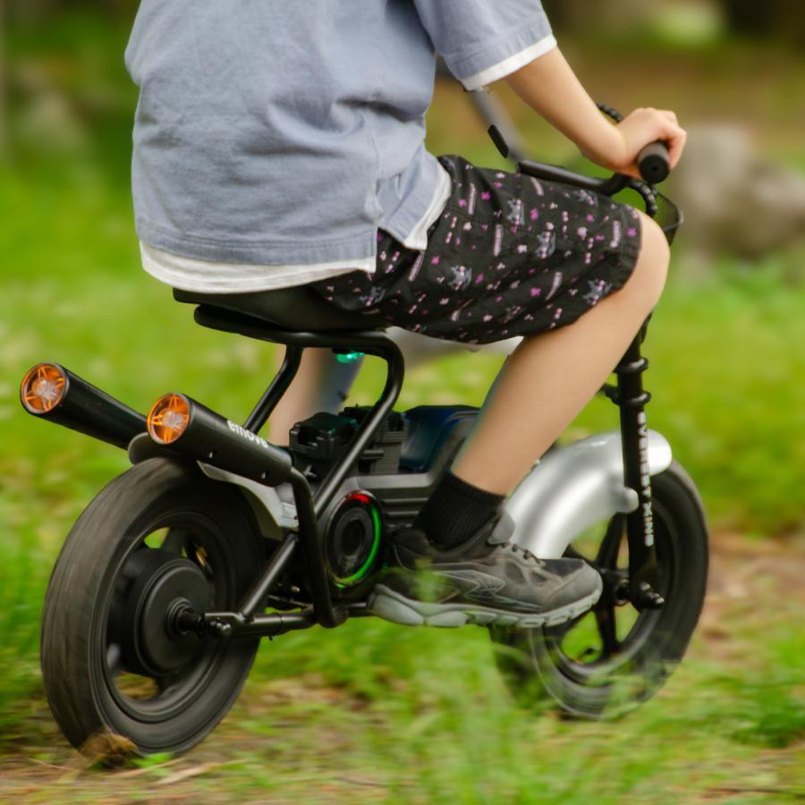 【廃番品】電動ジェームス 自動走行可 廃番品】電動ジェームス 自動走行可 ジェームス / カー用品店