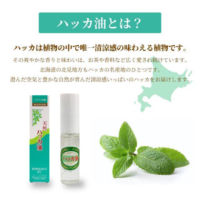 天然ハッカ油スプレーml ペパーミント商会 日本製 精油 マスク 虫よけ ペパーミント商会 オイル 日本ポステックダイレクトteds 通販 Yahoo ショッピング