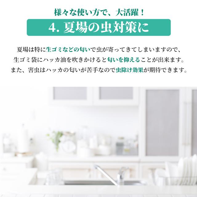 天然ハッカ油スプレーml ペパーミント商会 日本製 精油 マスク 虫よけ ペパーミント商会 オイル 日本ポステックダイレクトteds 通販 Yahoo ショッピング