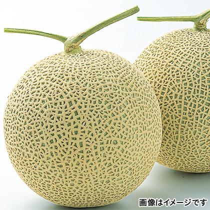 96 Off 愛知 フルーツ メロン 渥美マスクメロン 2個