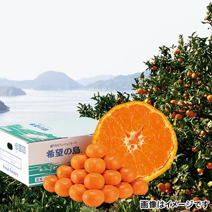 希望の島 温州みかん : 郵便局物販サービスYahoo!店 - 通販 - Yahoo