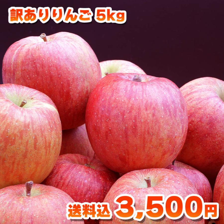 訳ありりんご 5kg 送料込み : 郵便局物販サービスYahoo!店 - 通販
