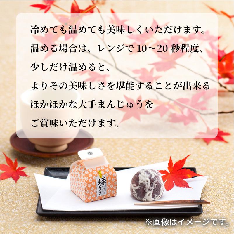 和菓子 ギフト まんじゅう 饅頭 お取り寄せ 大手まんぢゅう15個入