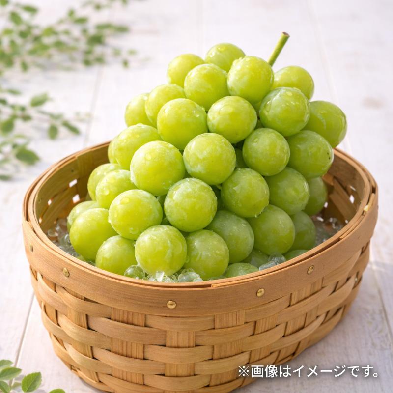 シャインマスカットとナガノパープル2．5kg : 郵便局物販サービス