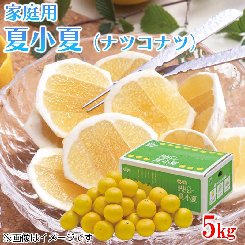 食品 ハウススダチ 家庭用 5キロ