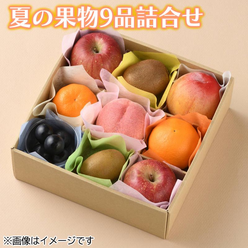 夏の果物9品詰合せ 送料込み 爆買week : 郵便局物販サービスYahoo!店