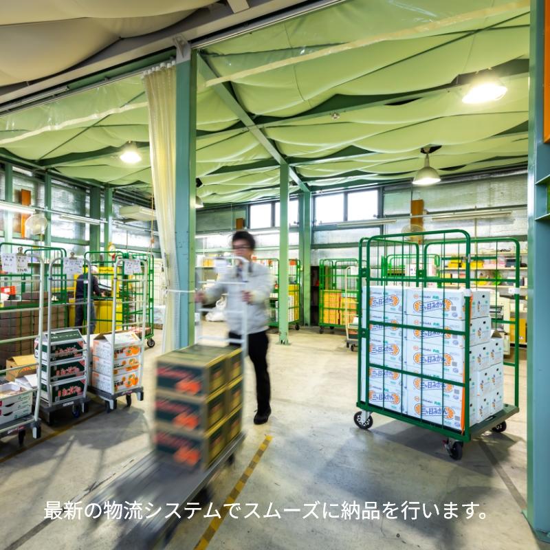 夏の果物9品詰合せ 送料込み : 郵便局物販サービスYahoo!店 - 通販