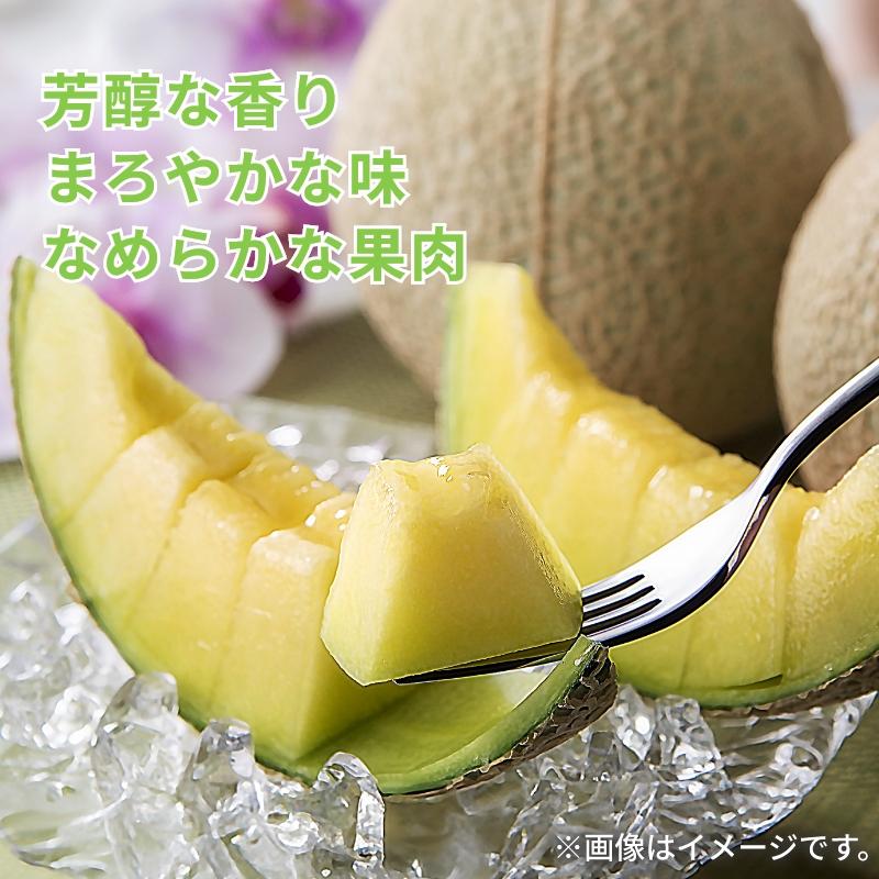 温室マスクメロン1個 送料込み : 郵便局物販サービスYahoo!店 - 通販