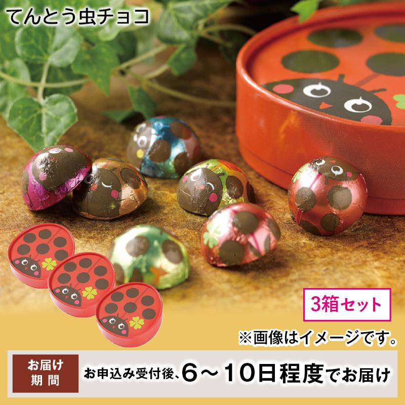 チョコレート ギフト てんとう虫チョコ : 郵便局物販サービスYahoo!店