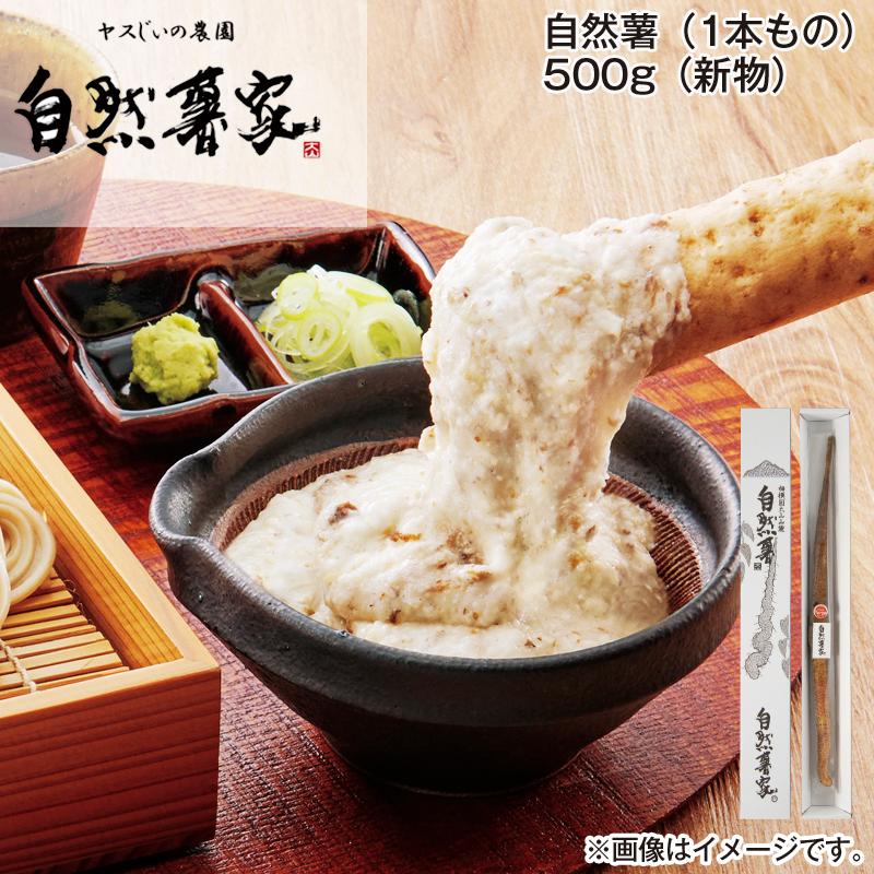自然薯（1本もの）500g（新物） : 郵便局物販サービスYahoo!店