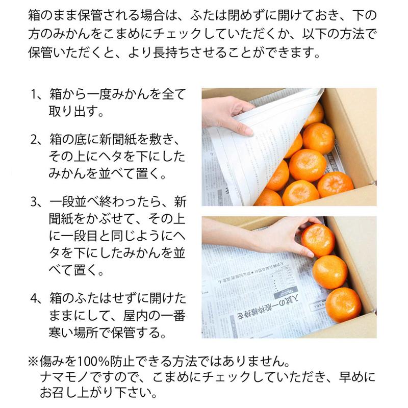 みかん 三ヶ日みかん 2.3kg : 郵便局物販サービスYahoo!店 - 通販
