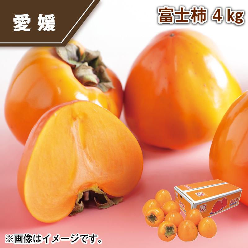 富士柿 4kg : 郵便局物販サービスYahoo!店 - 通販 - Yahoo!ショッピング