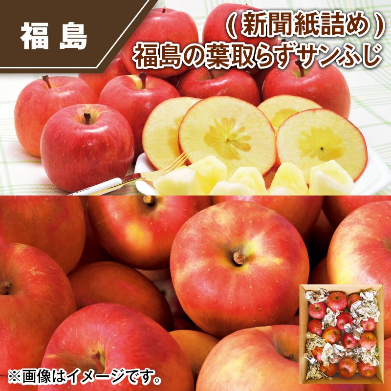 りんご 10kg 訳あり わけあり（新聞紙詰め）福島の葉取らずサンふじ