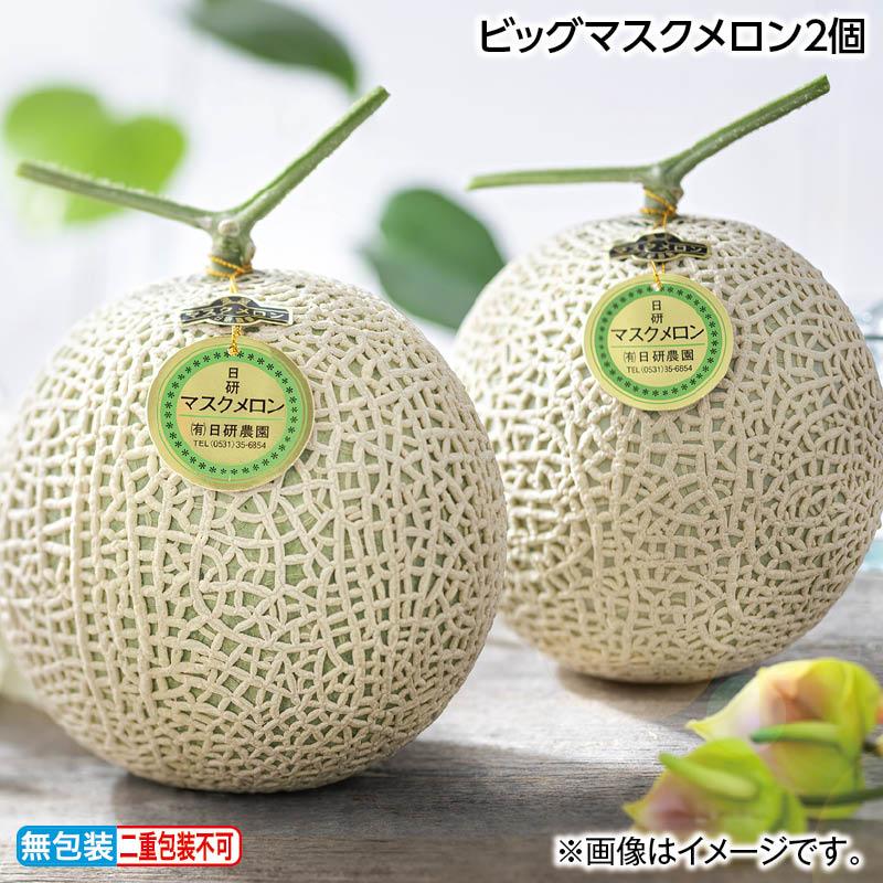お中元 2025 メロン ビッグマスクメロン2個 1.65kg×2 愛知 : 郵便局