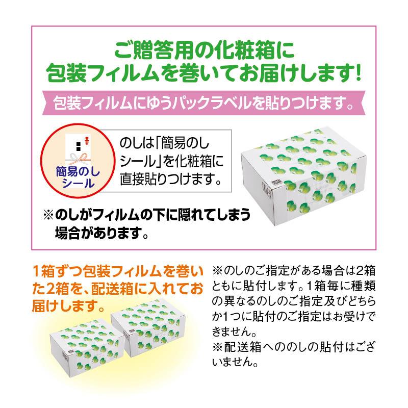 お中元 2025 新つぶらなオールスターズ 2箱 : 郵便局物販サービス