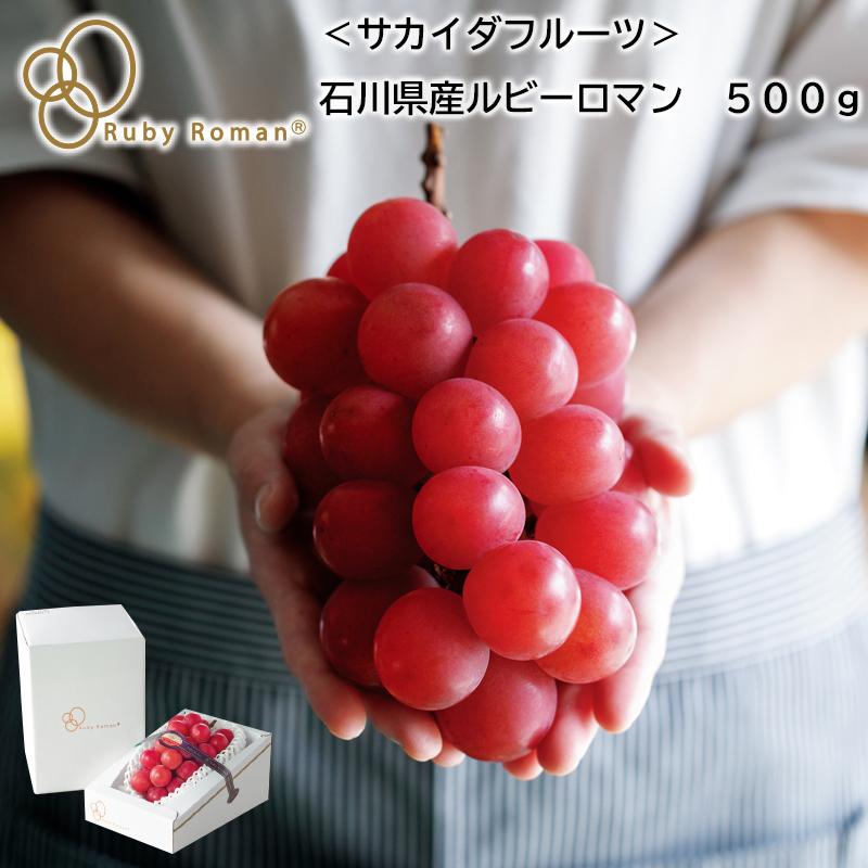 お中元 2024 フルーツ サカイダフルーツ 石川県産ルビーロマン